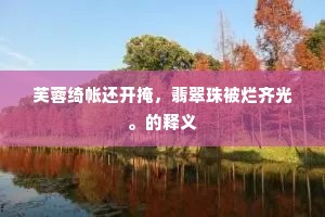 芙蓉绮帐还开掩，翡翠珠被烂齐光。的释义