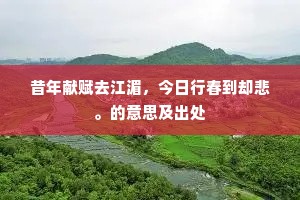 昔年献赋去江湄，今日行春到却悲。的意思及出处