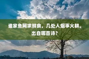 谁家鱼网求鲜食，几处人烟事火耕。出自哪首诗？