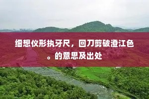 细想仪形执牙尺，回刀剪破澄江色。的意思及出处