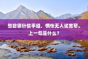 愁捻银针信手缝，惆怅无人试宽窄。上一句是什么？