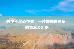 书中不尽心中事，一片殷勤寄边使。的意思及出处