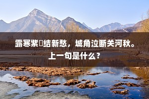 露寒紫藟结新愁，城角泣断关河秋。上一句是什么？