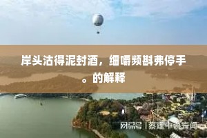 岸头沽得泥封酒，细嚼频斟弗停手。的解释