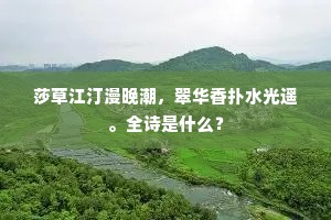 莎草江汀漫晚潮，翠华香扑水光遥。全诗是什么？