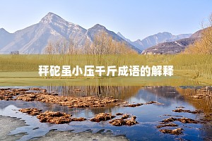 秤砣虽小压千斤成语的解释