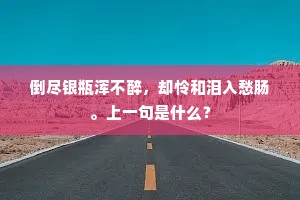 倒尽银瓶浑不醉，却怜和泪入愁肠。上一句是什么？