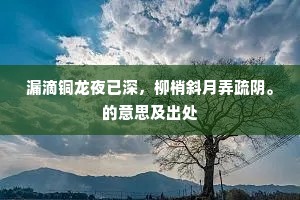 漏滴铜龙夜已深，柳梢斜月弄疏阴。的意思及出处