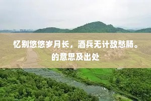 忆别悠悠岁月长，酒兵无计敌愁肠。的意思及出处