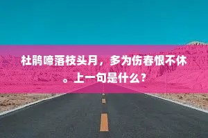 杜鹃啼落枝头月，多为伤春恨不休。上一句是什么？