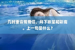 几时重会鸳鸯侣，月下吹笙和彩鸾。上一句是什么？