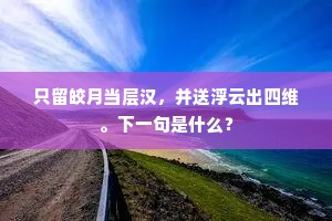 只留皎月当层汉，并送浮云出四维。下一句是什么？