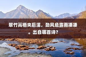 翠竹高梧夹后溪，劲风危露雨凄凄。出自哪首诗？