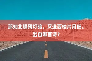 那知北牖残灯暗，又送西楼片月低。出自哪首诗？