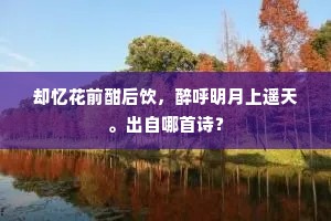 却忆花前酣后饮，醉呼明月上遥天。出自哪首诗？