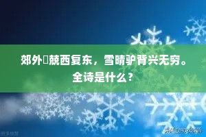 郊外淩兢西复东，雪晴驴背兴无穷。全诗是什么？