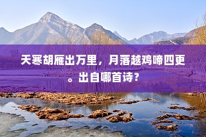 天寒胡雁出万里，月落越鸡啼四更。出自哪首诗？