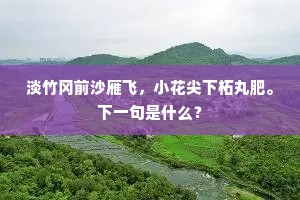 淡竹冈前沙雁飞，小花尖下柘丸肥。下一句是什么？