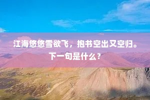 江海悠悠雪欲飞，抱书空出又空归。下一句是什么？