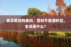 良会若同鸡黍约，暂时不放酒杯空。全诗是什么？