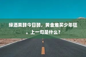 绿酒莫辞今日醉，黄金难买少年狂。上一句是什么？