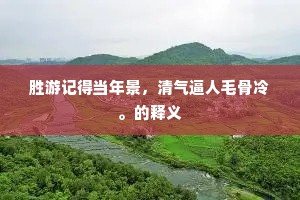 胜游记得当年景，清气逼人毛骨冷。的释义