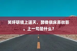 笑呼明镜上遥天，醉倚银床弄秋影。上一句是什么？