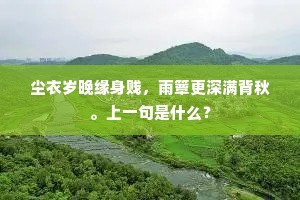 尘衣岁晚缘身贱，雨簟更深满背秋。上一句是什么？