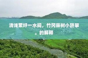 清浅萦纡一水间，竹冈藤树小跻攀。的解释