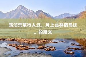 露沾荒草行人过，月上高林宿鸟还。的释义