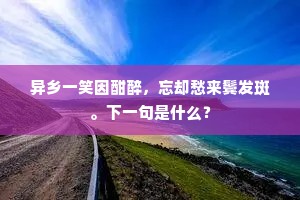 异乡一笑因酣醉，忘却愁来鬓发斑。下一句是什么？