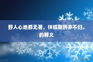 野人心地都无著，伴蝶随鸥亦不归。的释义