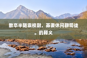 散卒半随袁校尉，寡妻休问辟司徒。的释义