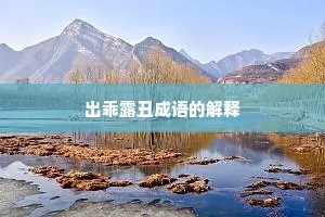 出乖露丑成语的解释