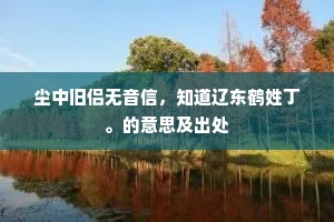 尘中旧侣无音信，知道辽东鹤姓丁。的意思及出处