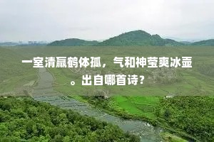 一室清羸鹤体孤，气和神莹爽冰壶。出自哪首诗？