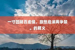 一寸回肠百虑侵，旅愁危涕两争禁。的释义