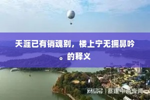 天涯已有销魂别，楼上宁无拥鼻吟。的释义