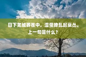 日下芜城莽苍中，湿萤撩乱起衰丛。上一句是什么？