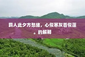 羁人此夕方愁绪，心似寒灰首似蓬。的解释