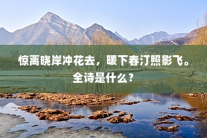 惊离晓岸冲花去，暖下春汀照影飞。全诗是什么？