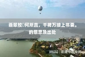 翡翠鲛鮹何所直，千裨万接上书囊。的意思及出处