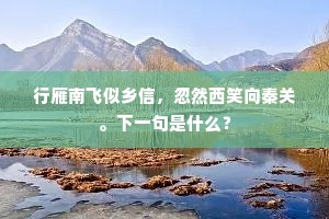 行雁南飞似乡信，忽然西笑向秦关。下一句是什么？