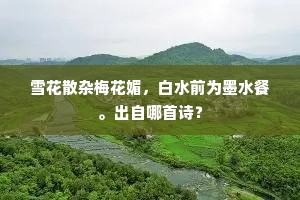 雪花散杂梅花媚，白水前为墨水餐。出自哪首诗？