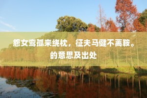 怨女鸾孤来绕枕，征夫马健不离鞍。的意思及出处