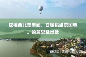 戍楼西北望皇阍，日暖桃绯京国春。的意思及出处