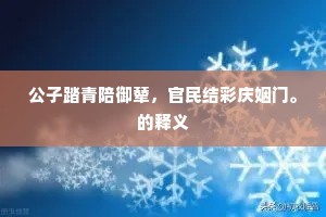 公子踏青陪御辇，官民结彩庆姻门。的释义