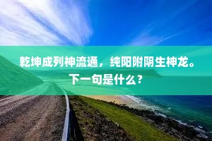乾坤成列神流通，纯阳附阴生神龙。下一句是什么？