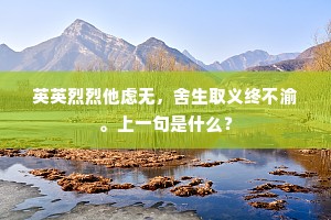 英英烈烈他虑无，舍生取义终不渝。上一句是什么？