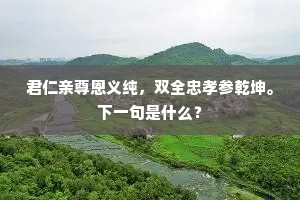 君仁亲尊恩义纯，双全忠孝参乾坤。下一句是什么？